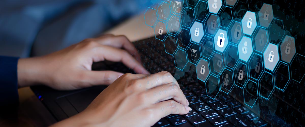 Capitalize on Big Opportunity